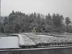firstsnow1.jpg