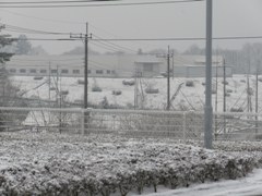 firstsnow2.jpg