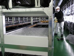 palletsetting.jpg