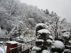 snowyama.jpg