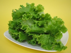 leaflettucesample.jpg