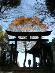 mitumine torii.jpg