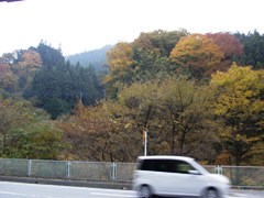 shoumaru touge kouyou.jpg