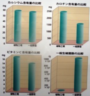 shokubutukojyo tenji seibunbunseki.jpg