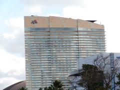 JAL Resorts hotel.jpg