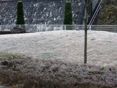 fuyu shimo1.jpg