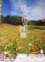 hananokairoo.JPG