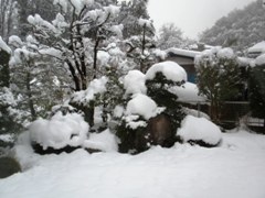 March 10 yuki.jpg
