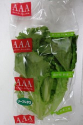 new design leaf.jpg