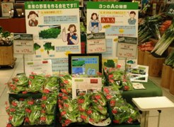 yookado tentou 1.jpg