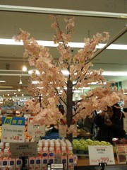 hanami.jpg