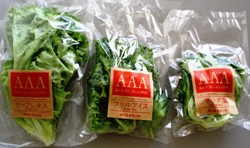 shihanyou old packages.jpg
