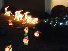 christmas lights 2.jpg