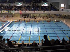 masters' swimming 3.jpg