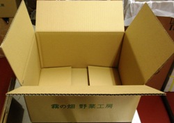 danbooru box.jpg