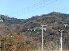 yama 8dec2010.jpg