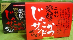 jakokatsu box.jpg