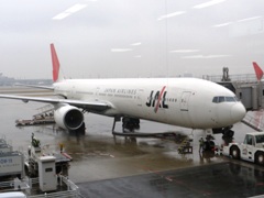 JAL aircraft.jpg