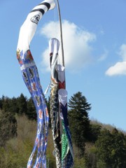 koinobori okugai.jpg