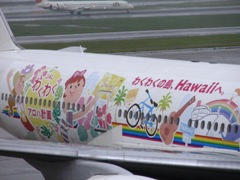 JAL Hawaii.jpg