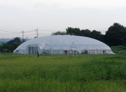 granpa dome gaikan.jpg