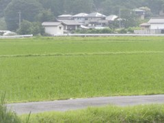 den-en fuukei 28june2012.jpg