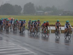 road race in 2012 shuudan.jpg