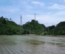 taue.jpg