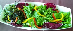salad at nouen 1.jpg